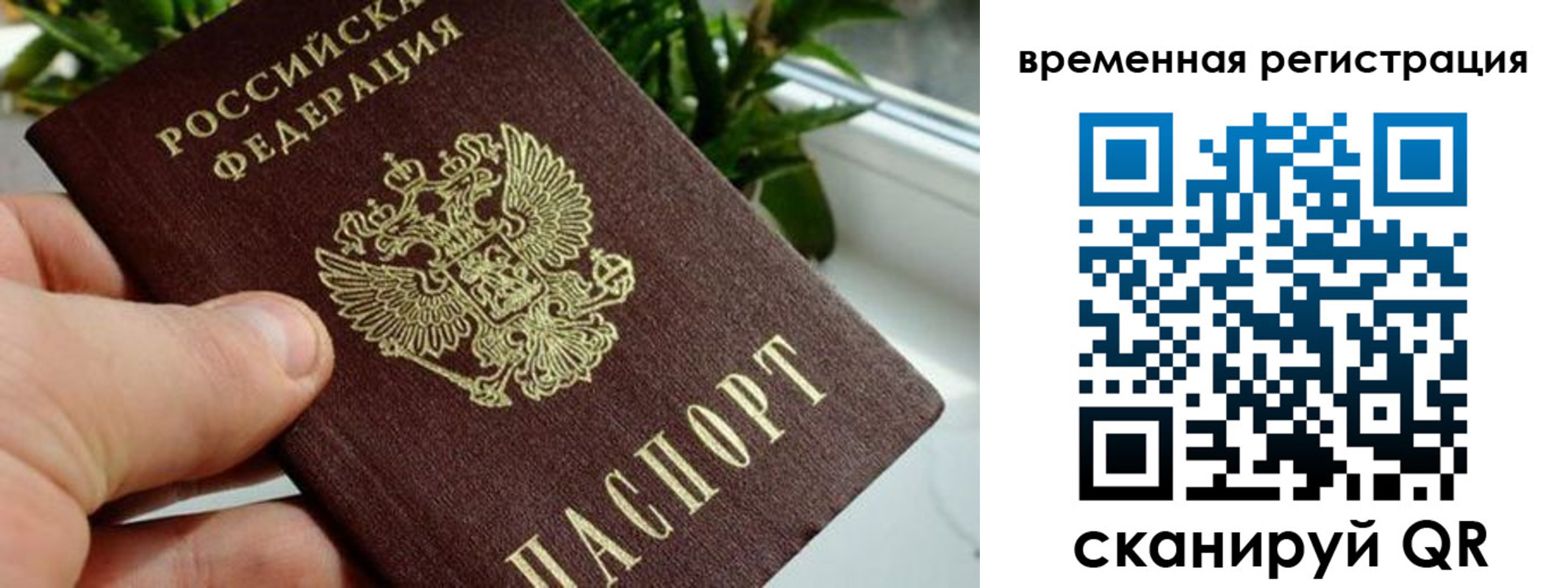 прописка поиск в Верхнем Тагиле